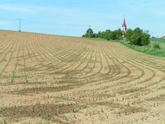 Přesetí/vynechávky mezi vnitřními řádky a souvratí - kukuřice (1) (zobrazeno 102x)